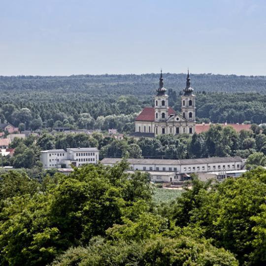 Ubytovna Karpatia Sastin-Straze Экстерьер фото